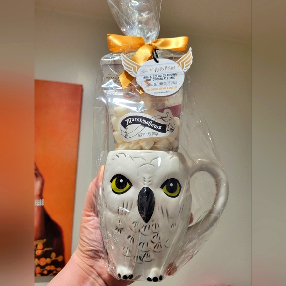 Warner Bros. Kitchen Harry Potter Owl Mug Set Poshmark